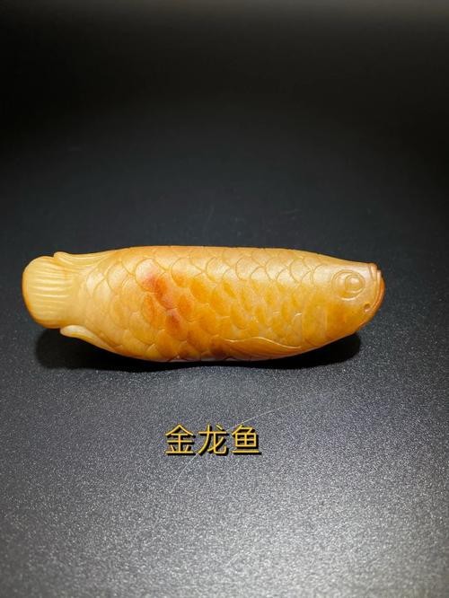 和田玉金龍魚吊墜圖片 和田玉金龍魚吊墜圖片 龍魚百科 第25張