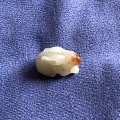 和田玉金龍魚吊墜圖片 和田玉金龍魚吊墜圖片 龍魚百科 第31張