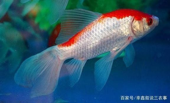 瑞安市博利水族館（瑞安水產城營業時間）