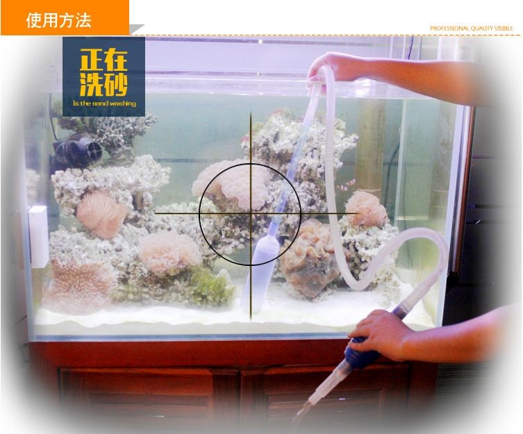觀海水族魚(yú)缸的養(yǎng)護(hù)秘籍：海水魚(yú)缸的養(yǎng)護(hù)技巧
