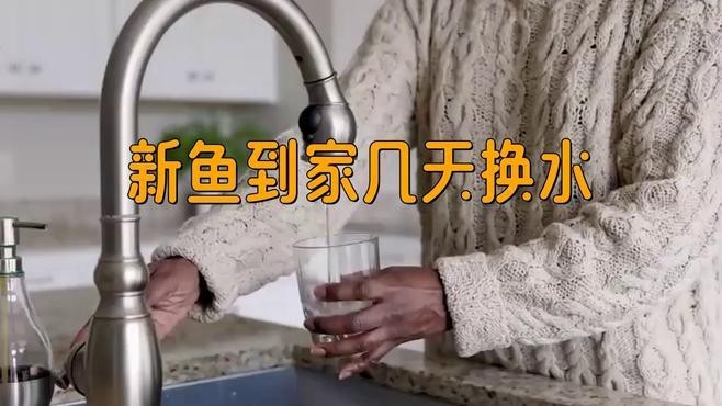 紅龍魚入缸后多久可以換水 紅龍魚入缸后多久可以換水 龍魚論壇 第1張