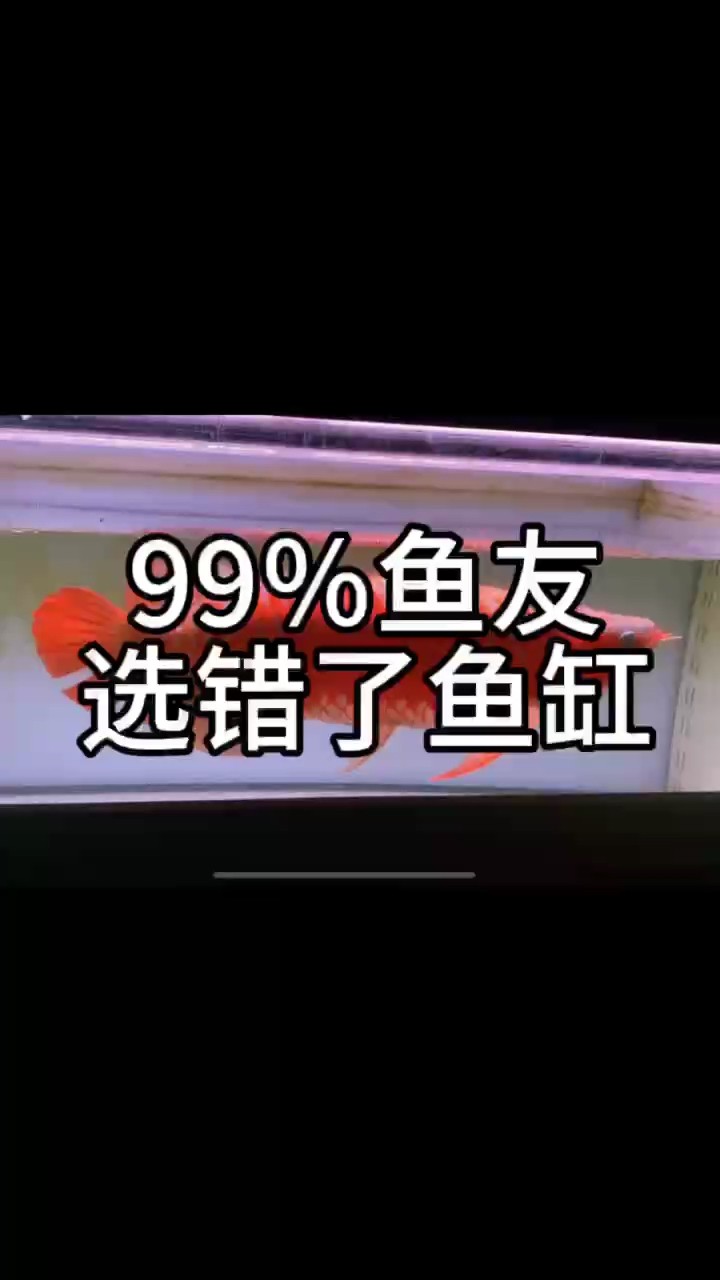 你的龍魚缸選對了嗎