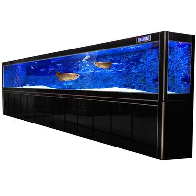 黑色玻璃魚缸的效果圖：黑色玻璃魚缸效果圖diy創(chuàng)意魚缸清潔與維護(hù)技巧