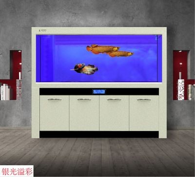 龍魚缸濾材多久換一次（龍魚缸水質(zhì)檢測(cè)技巧，濾材清洗與更換的正確步驟）