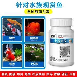 觀賞魚爛尾爛鰭爛鱗用土霉素放魚缸可以嗎（觀賞魚出現爛尾、爛鰭、爛鱗等癥狀怎么辦）