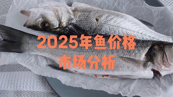 淡水魚價格 淡水魚價格 龍魚論壇 第2張