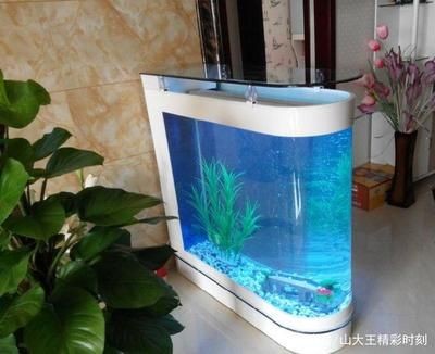 比較好的魚缸（如何選擇一個好的魚缸） 比較好的魚缸（如何選擇一個好的魚缸） 魚缸百科 第2張
