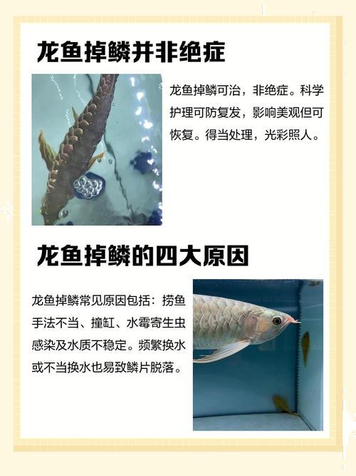 請?zhí)峁└帻堲~常見病的圖解