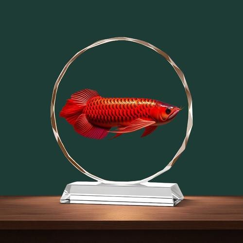 龍魚擺件朝向的正確擺放圖片 龍魚擺件朝向的正確擺放圖片 龍魚論壇 第26張