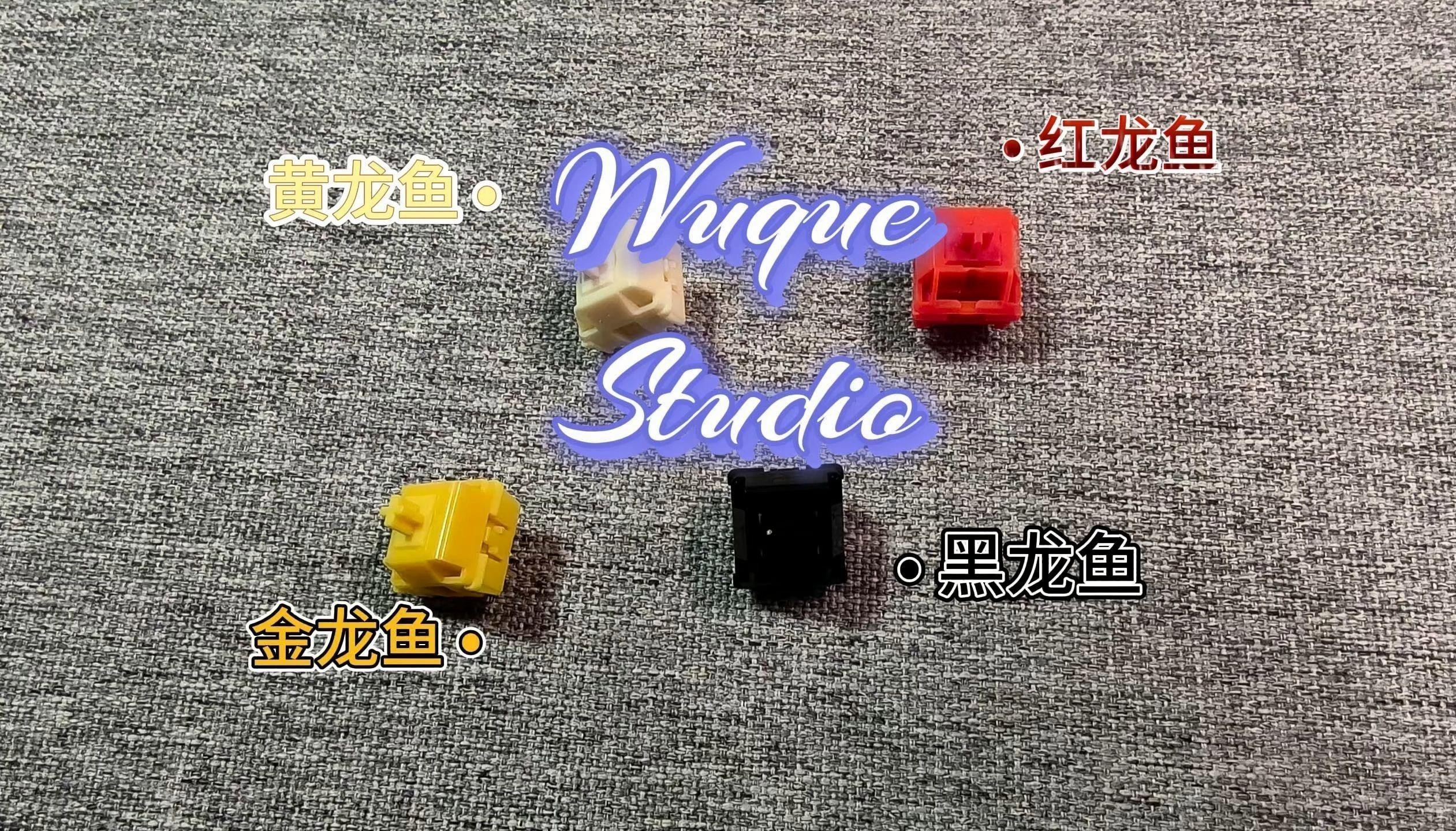 如何拍攝高質量的金龍魚照片？