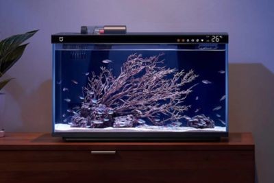 小米魚(yú)缸客服電話人工服務(wù)：小米魚(yú)缸客服電話