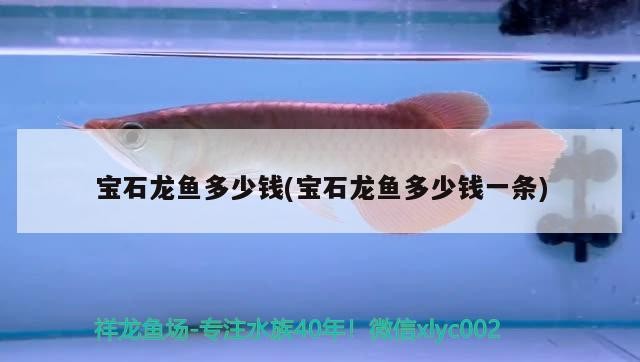 嘉興魚缸搬運電話號碼多少號（嘉興賣魚缸店地址） 嘉興魚缸搬運電話號碼多少號（嘉興賣魚缸店地址） 全國水族館企業名錄 第2張