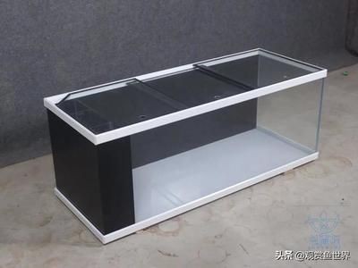 地圖魚(yú)飼養(yǎng)指南：地圖魚(yú)的健康種體形較大的熱帶魚(yú)飼養(yǎng)指南熱帶魚(yú)飼養(yǎng)技巧