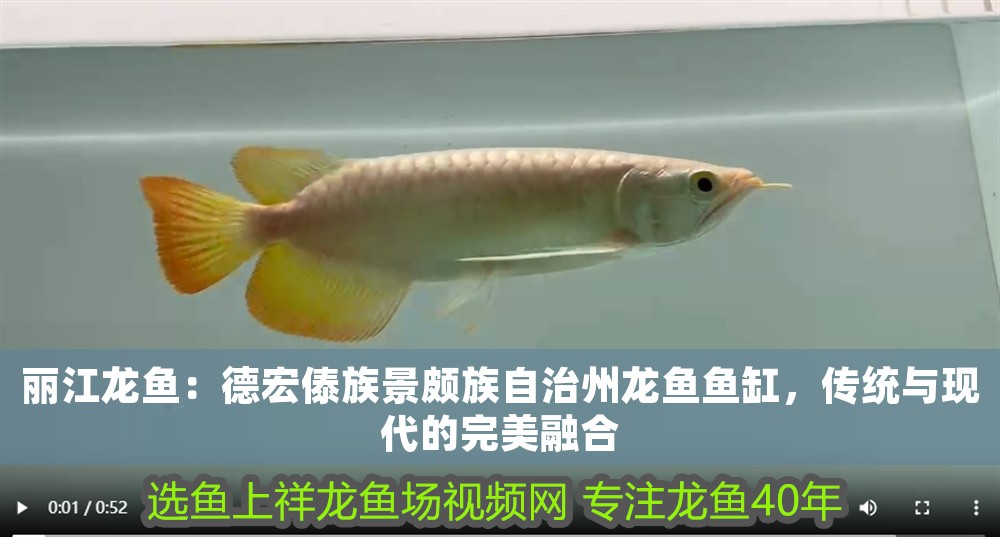 麗江龍魚：德宏傣族景頗族自治州龍魚魚缸，傳統與現代的完美融合 麗江龍魚：德宏傣族景頗族自治州龍魚魚缸，傳統與現代的完美融合 魚缸百科 第1張