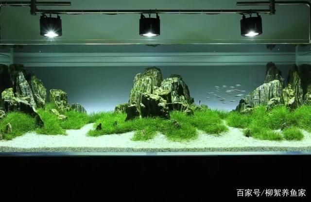 邢臺(tái)哪里有賣魚缸的地方呀：邢臺(tái)哪里有賣魚缸的地方