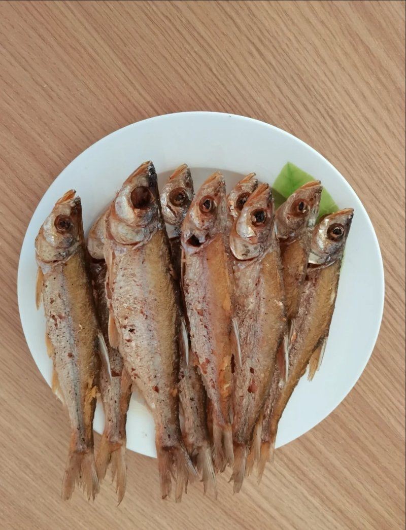 紅龍魚嘴唇發色需要哪些光照條件？ 紅龍魚嘴唇發色需要哪些光照條件？ 水族問答 第11張