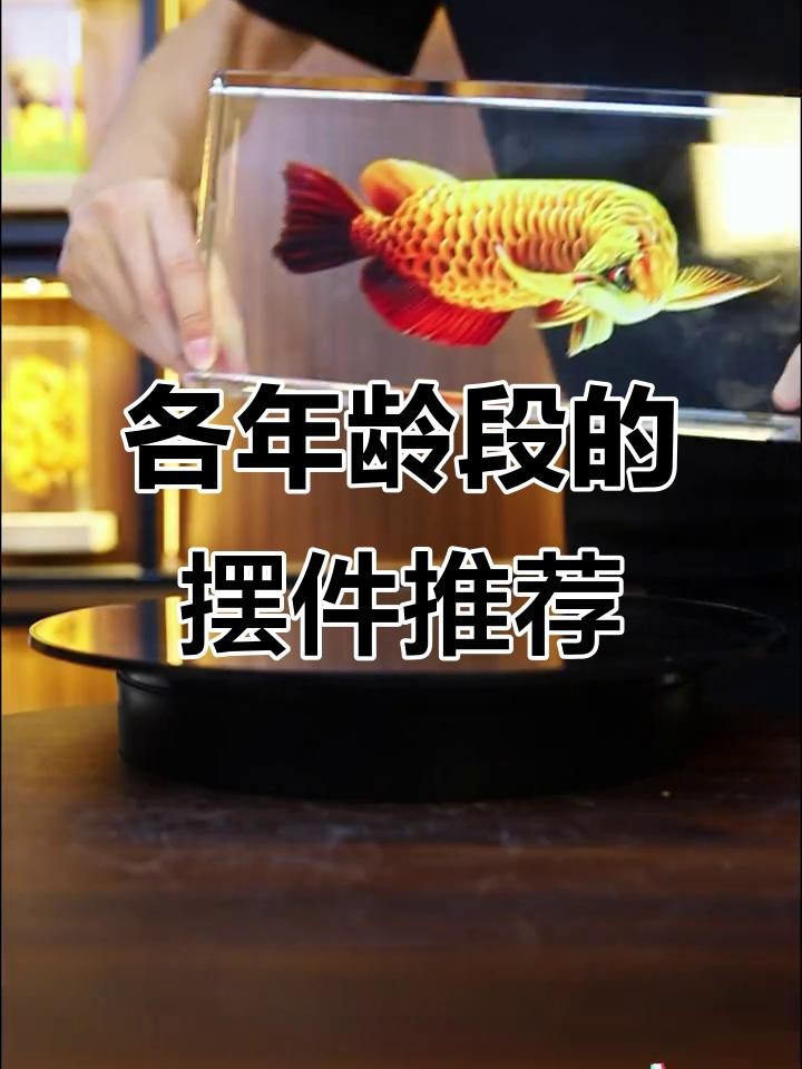 龍魚(yú)擺件一般人壓不住嗎 龍魚(yú)擺件一般人壓不住嗎 龍魚(yú)論壇 第4張