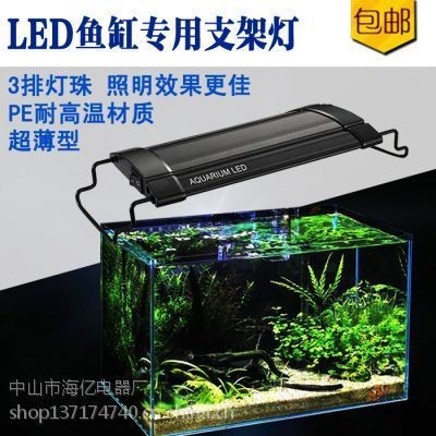 魚缸照明燈的選擇指南:如何選擇魚缸照明燈 魚缸百科 第1張 魚缸照明燈的選擇指南:如何選擇魚缸照明燈 魚缸照明燈的選擇指南:如何選擇魚缸照明燈 魚缸百科 第1張