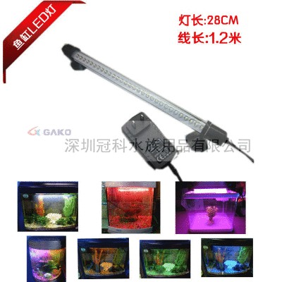 紅色魚缸燈的選擇指南：如何選擇合適的魚缸燈