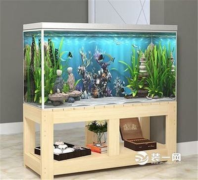 兩個魚缸風水：魚缸的風水布局