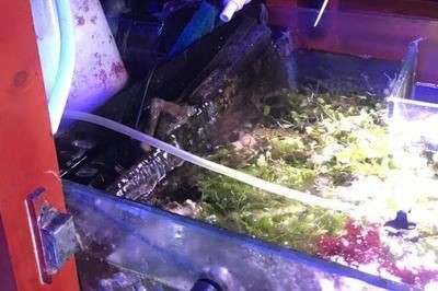 底濾魚缸濾材清洗方法：底濾魚缸底濾魚缸底濾材清洗濾材清洗注意事項