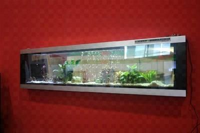 魚缸設計的藝術與科學魚缸設計的藝術與科學魚缸設計：海南魚缸定制 魚缸設計的藝術與科學魚缸設計的藝術與科學魚缸設計：海南魚缸定制 魚缸百科 第4張