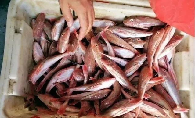 紅頭魚怎么做湯好喝