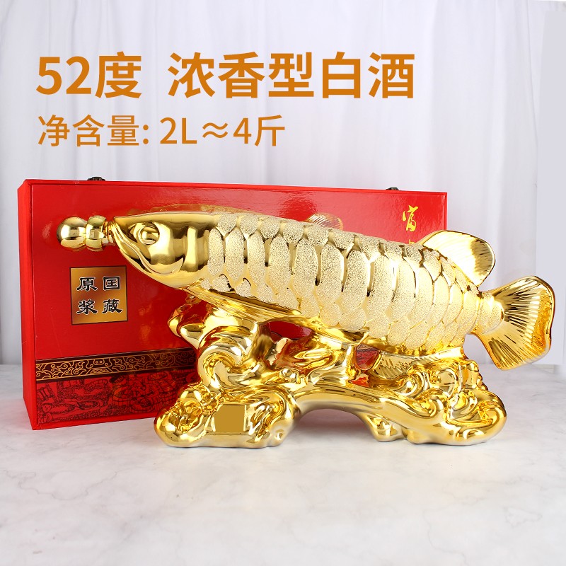 紅龍魚飼養(yǎng)技巧圖解視頻大全（紅龍魚飼養(yǎng)技巧圖解視頻大全集）