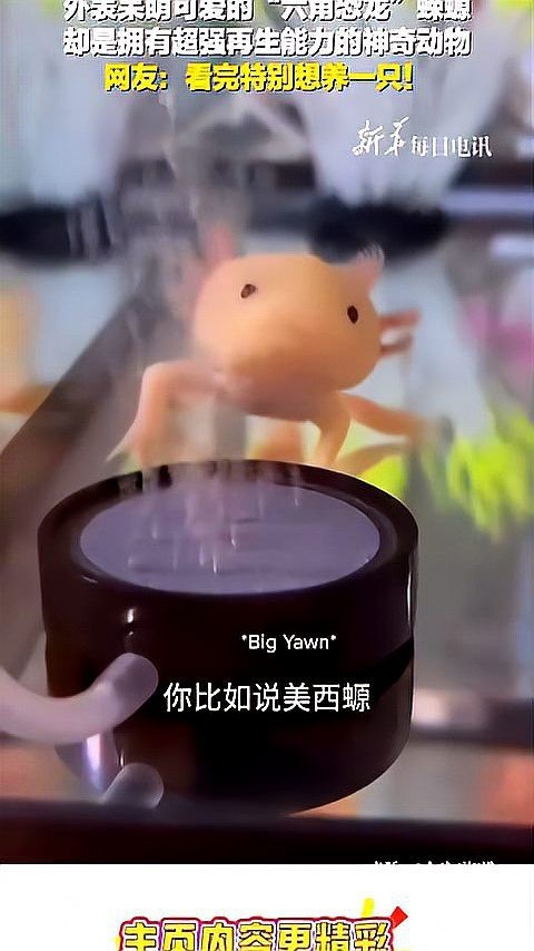 六角恐龍假死能完全恢復(fù)嗎？