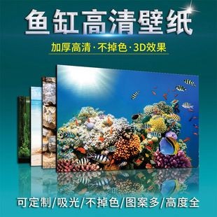 漾夢江魚缸背景貼紙：漾夢江魚缸背景貼紙使用方法