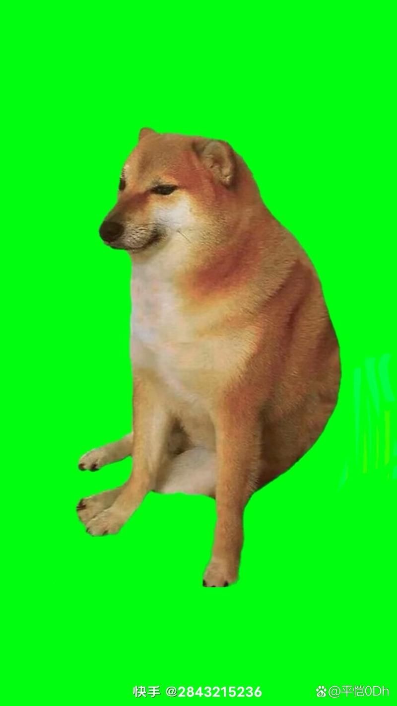狗頭背景圖片