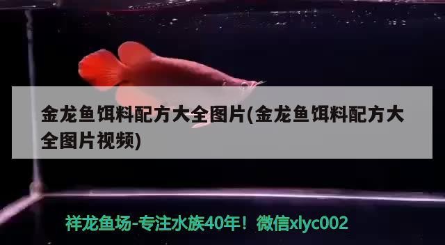 南京市浦口區大觀園百貨經營部（南京市浦口區大觀園百貨經營部地址）