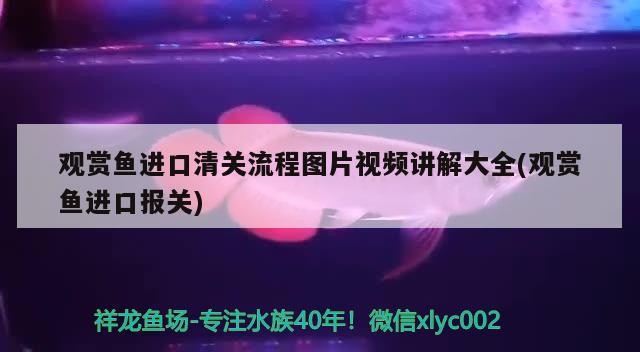 南京市浦口區大觀園百貨經營部（南京市浦口區大觀園百貨經營部地址）