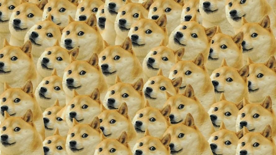 狗頭背景圖片