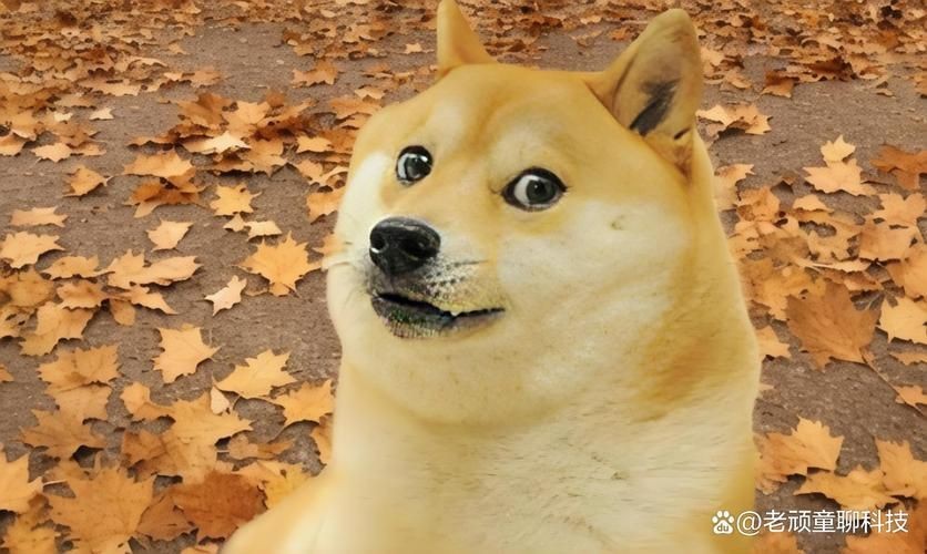 狗頭背景圖片