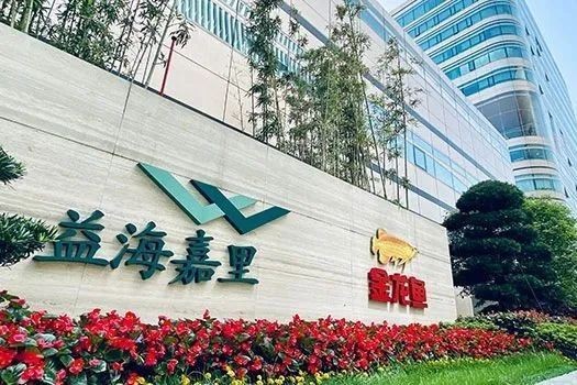 金龍魚為什么便宜