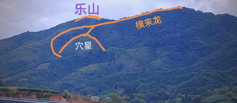 風水中橫龍龍脈能出什么人 風水中橫龍龍脈能出什么人 龍魚論壇 第1張