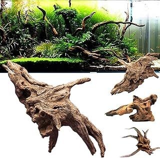 什么木頭適合做魚缸造景：魚缸造景之木頭的選擇