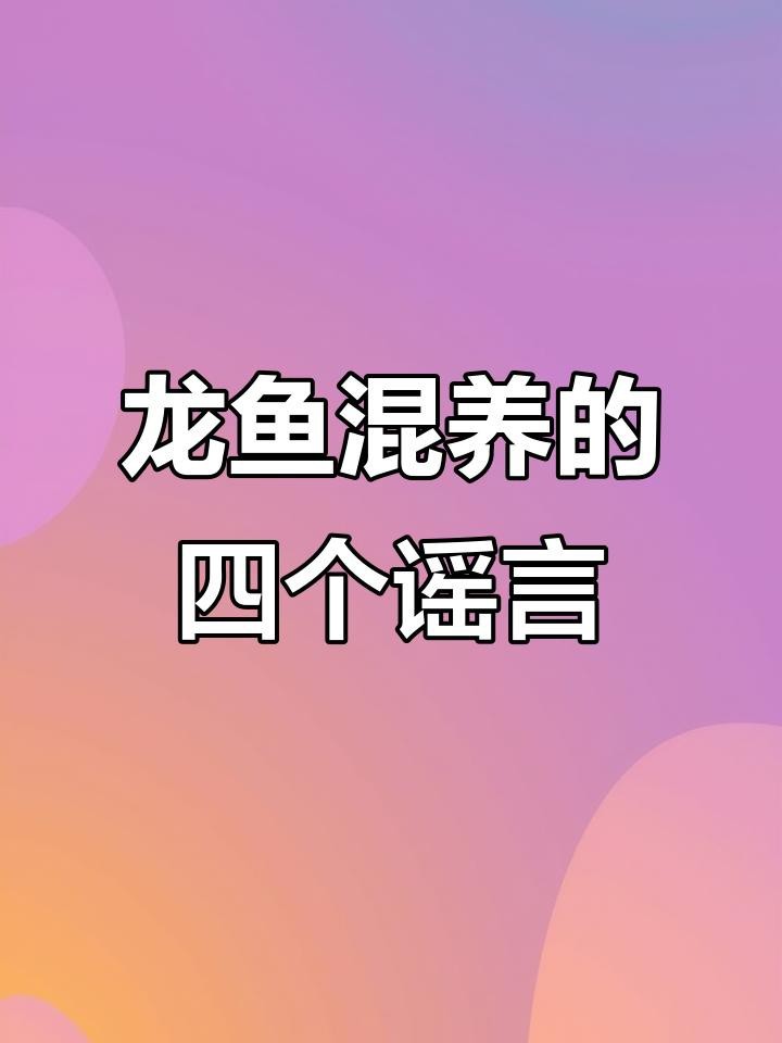 龍魚混養有哪些常見誤區？