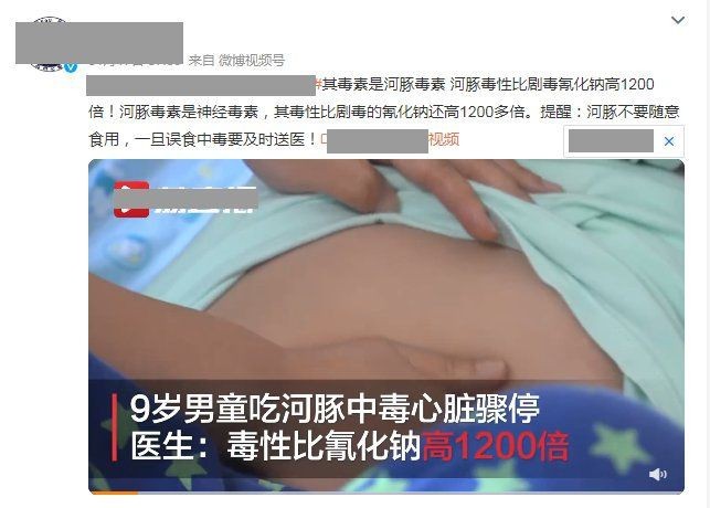 弓斑河豚是狗頭魚是河豚嗎 弓斑河豚是狗頭魚是河豚嗎 龍魚論壇 第16張