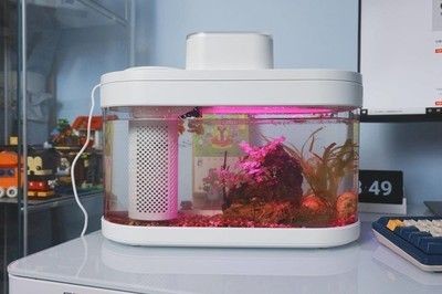 畫法幾何魚缸的維護與保養：畫法幾何魚缸水泵不工作怎么辦