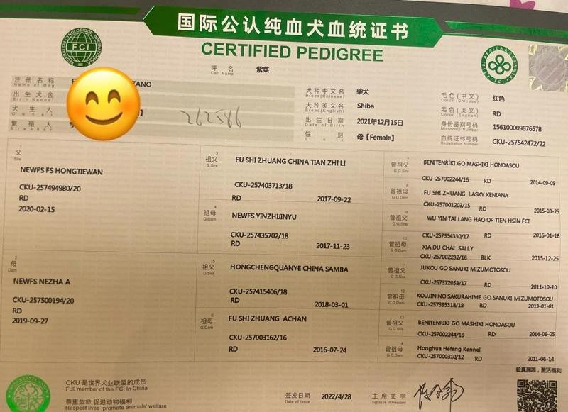 如何判斷血統證書的真偽？