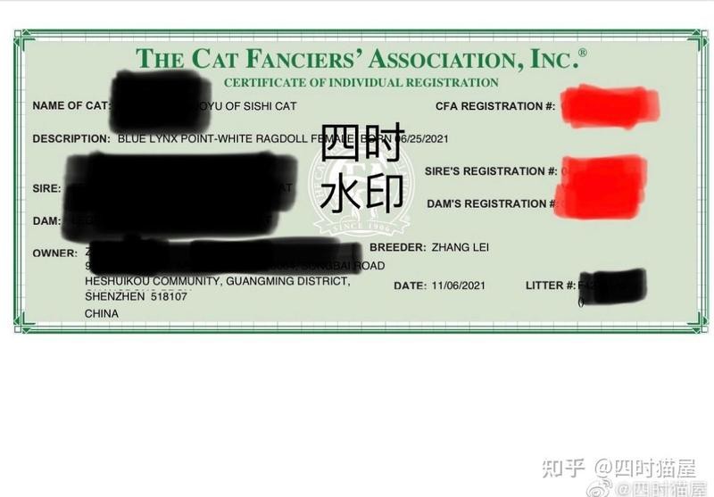 如何判斷血統證書的真偽？
