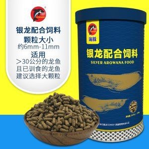 紅龍魚(yú)繁殖期飼料選擇，紅龍魚(yú)繁殖期營(yíng)養(yǎng)需求詳解