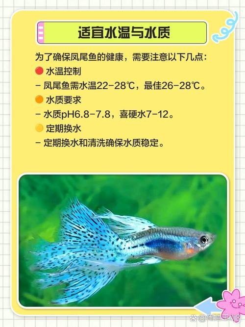 淡水鳳尾魚圖片
