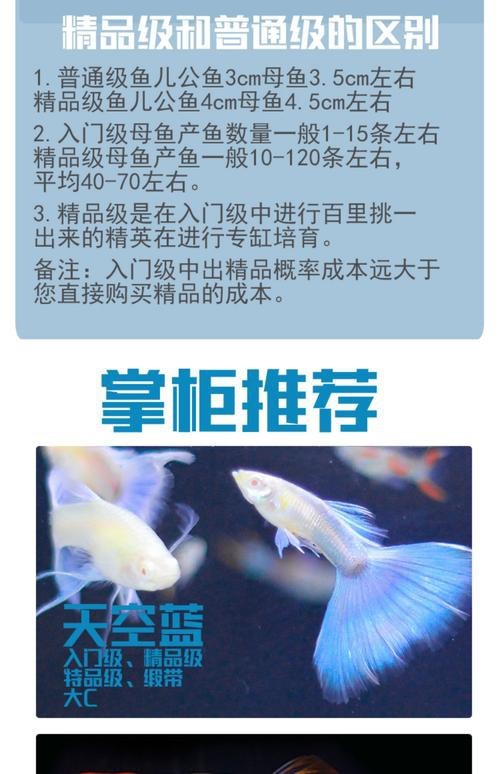 淡水鳳尾魚圖片