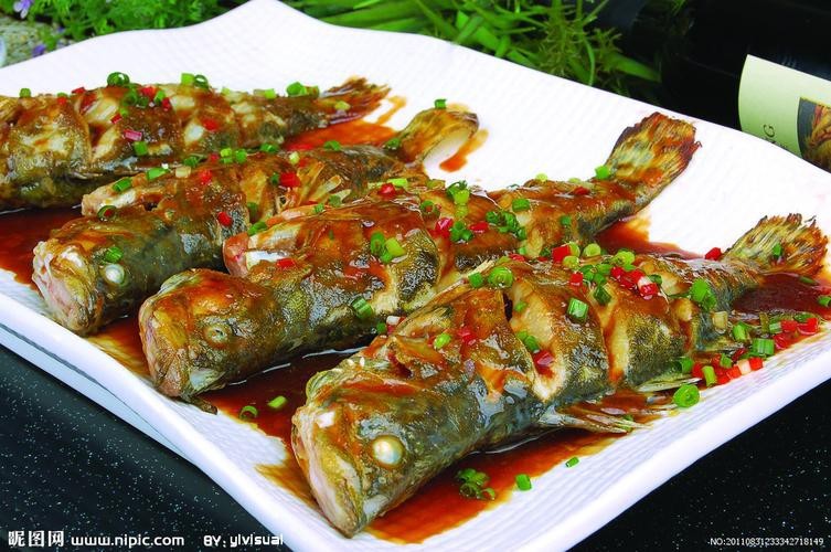 桂花魚圖片高清大圖