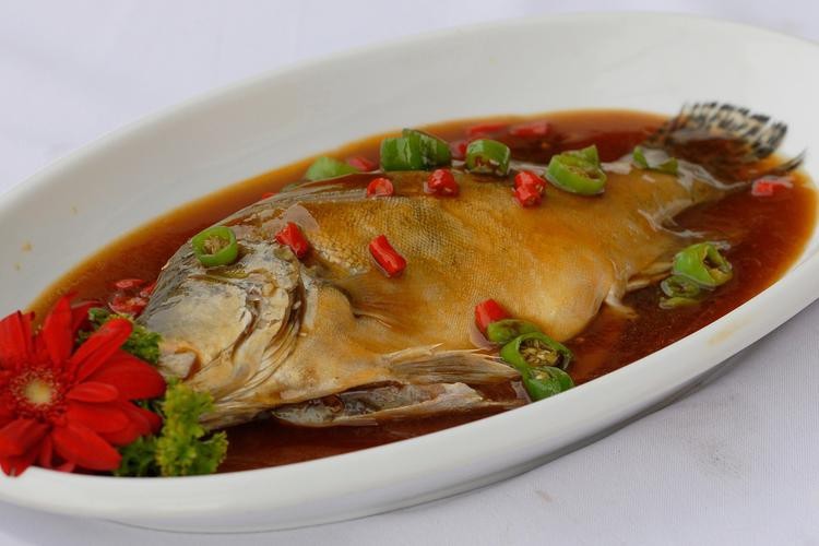 桂花魚圖片高清大圖