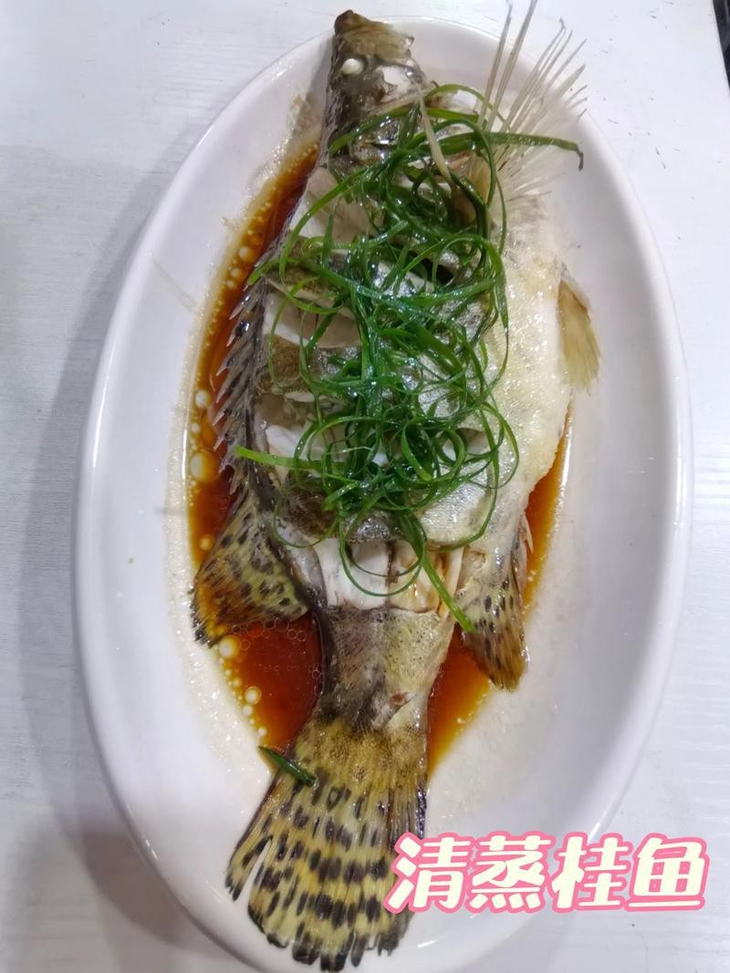 桂花魚圖片高清大圖
