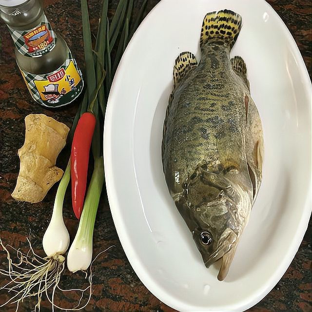 桂花魚圖片高清大圖